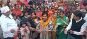 नगर सभापति